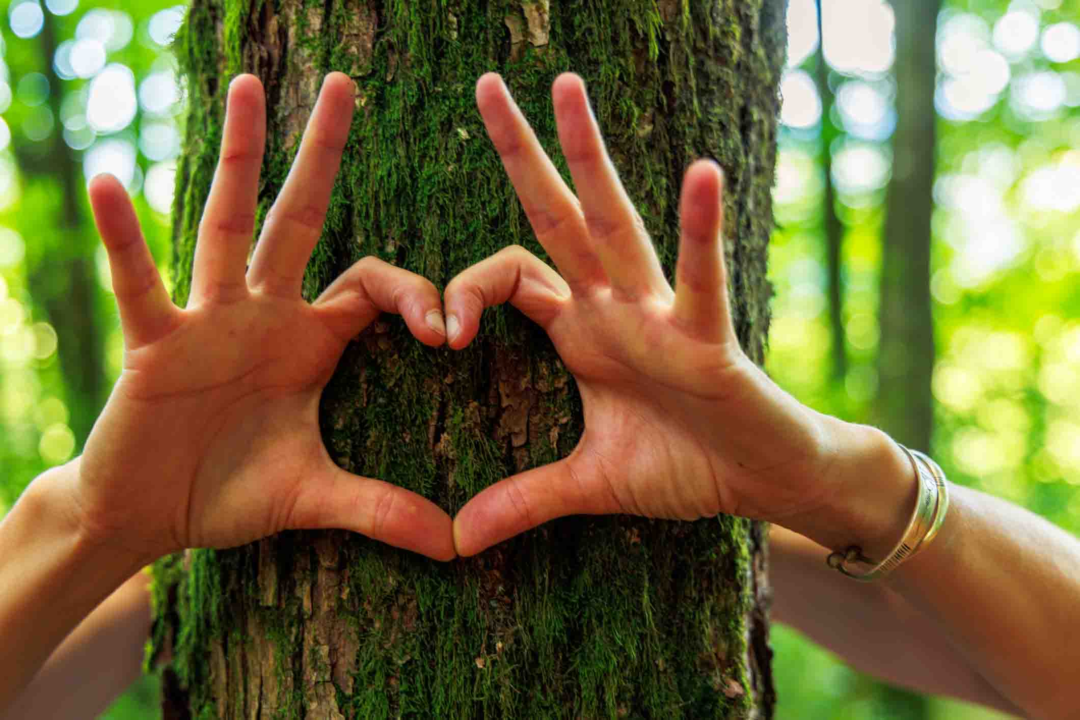 conseil du mois de août terre de provence