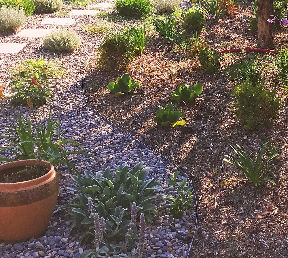 paillage min&eacute;ral et v&eacute;g&eacute;tal