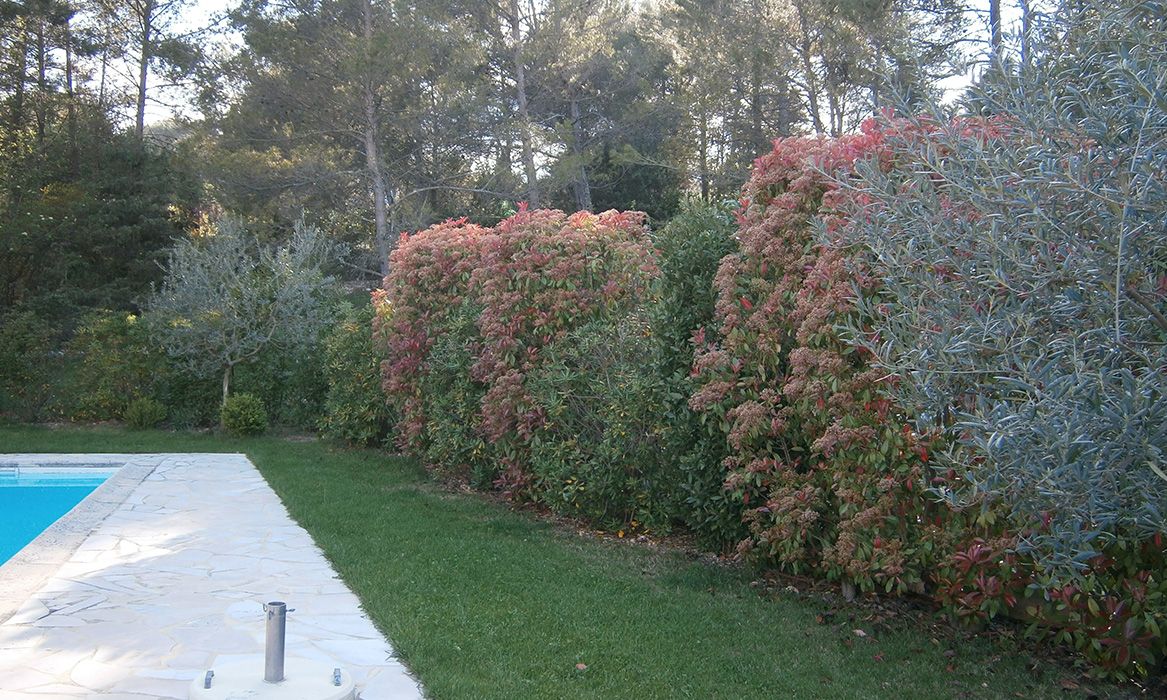 jardin-sec-mur-vegetal-terre-de-provence