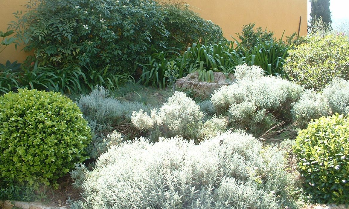 jardin-sec-mediterranean-terre-de-provence